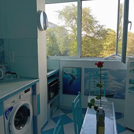 公寓 Albatros 布尔加斯