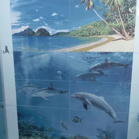 Albatros 公寓 布尔加斯